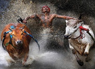 Khám phá 6 lễ hội truyền thống đặc sắc trong tour du lịch Indonesia Khám phá 6 lễ hội truyền thống đặc sắc trong tour du lịch Indonesia