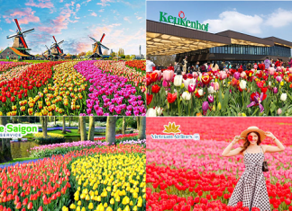 Du lịch Hà Lan độc đáo bạn nên đến