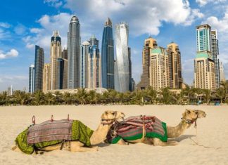 Tour du lịch Dubai giá bao nhiêu tiền? Các khoản chi phí cần thiết Tour du lịch Dubai giá bao nhiêu tiền? Các khoản chi phí cần thiết