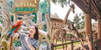 Mách bạn trọn bộ kinh nghiệm du lịch Vinpearl Safari Phú Quốc mới nhất